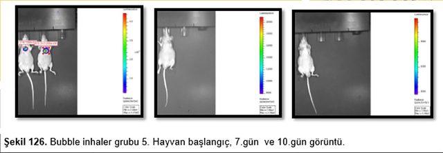 Son evrede kanseri yenen bilim insanından, bu hastalık için ilaç taşıma sistemi