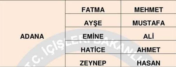 Türkiye'de en çok hangi isimler kullanılıyor?  G1