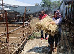  4 bileziğini satıp bu işe girdi! 1 milyon TL’lik servet kazandı