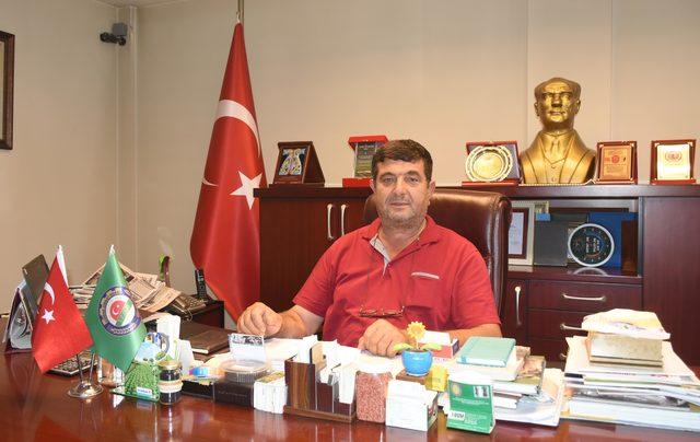 Buğdayda üzülen Trakya çiftçisinin yüzünü ayçiçeği güldürdü