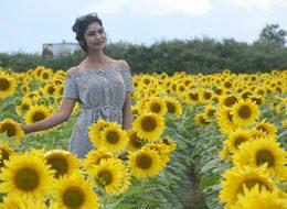 Buğdayda üzülen Trakya çiftçisinin yüzünü ayçiçeği güldürdü