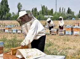 Kadın arıcıların ürettiği bal, marka oldu