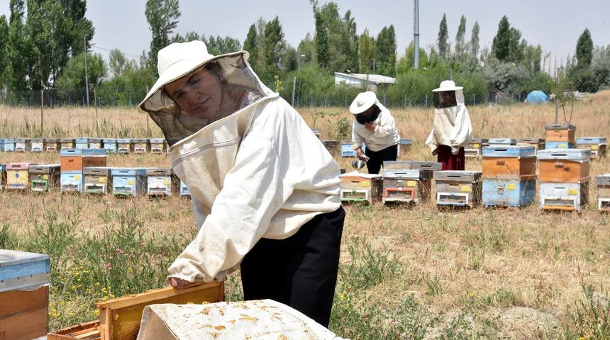 Kadın arıcıların ürettiği bal, marka oldu