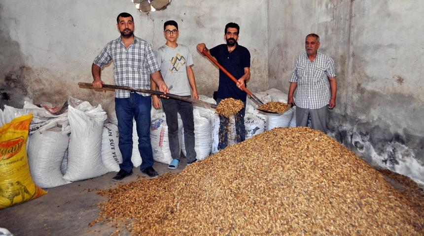 Kuru dut rekoltesi 300 tondan 40 tona düştü