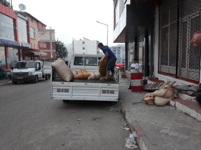 Ordu'da üreticiler fındık satışına başladı