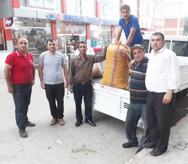 Ordu'da üreticiler fındık satışına başladı