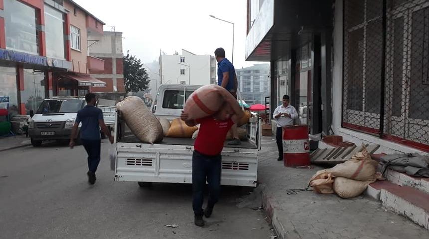 Ordu'da üreticiler fındık satışına başladı