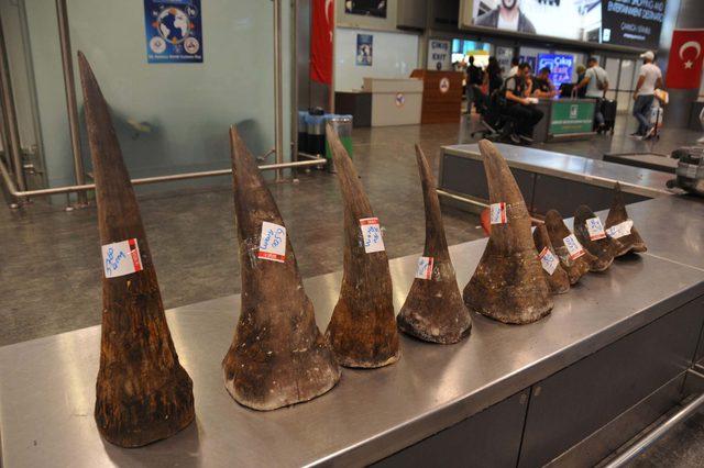 Atat&uuml;rk Havalimanı nda gergedan boynuzu operasyonu 1