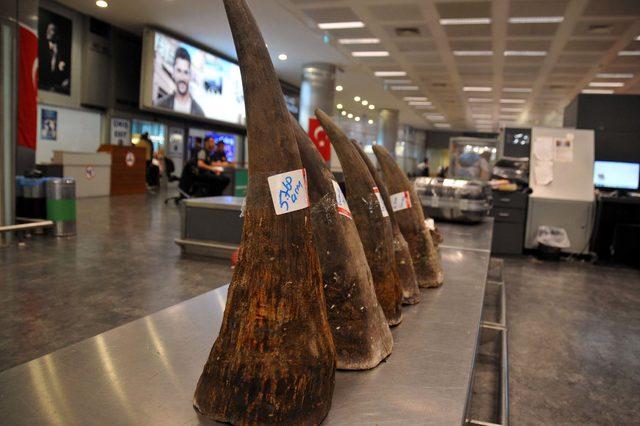 Atat&uuml;rk Havalimanı nda gergedan boynuzu operasyonu 2