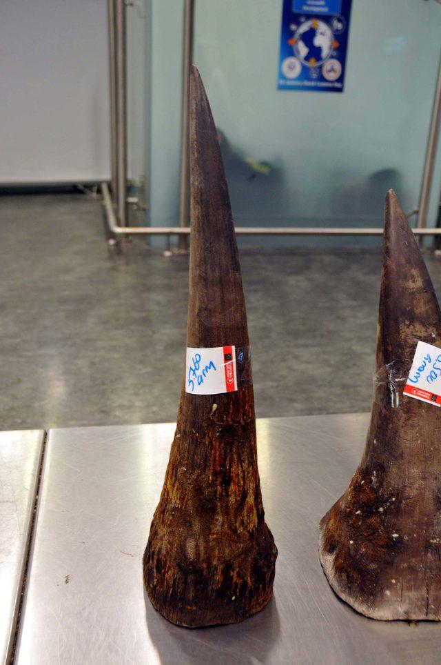 Atat&uuml;rk Havalimanı nda gergedan boynuzu operasyonu 3