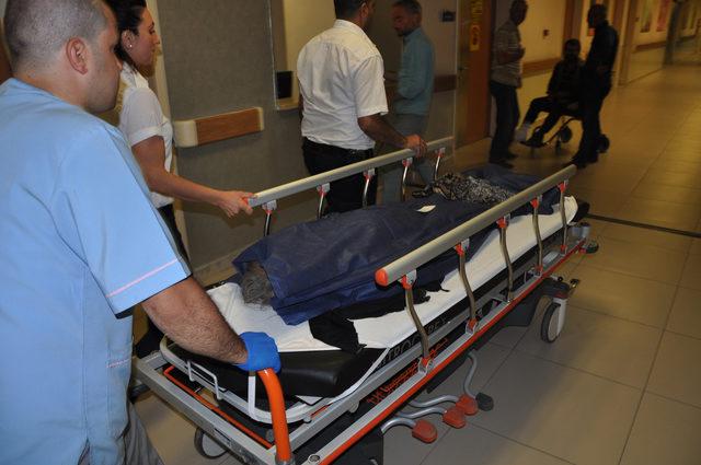 Ko&ccedil;un boynuzladığı yaşlı kadın &ouml;ld&uuml; 1