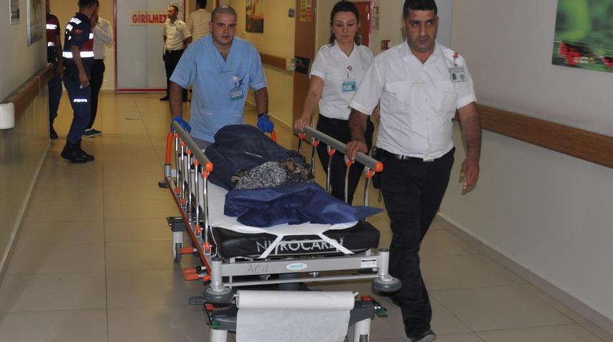 Ko&ccedil;un boynuzladığı yaşlı kadın &ouml;ld&uuml;