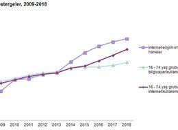 İnternet üzerinden alışveriş yapma oranı erkeklerde yüzde 33.6, kadınlarda yüzde 25 oldu