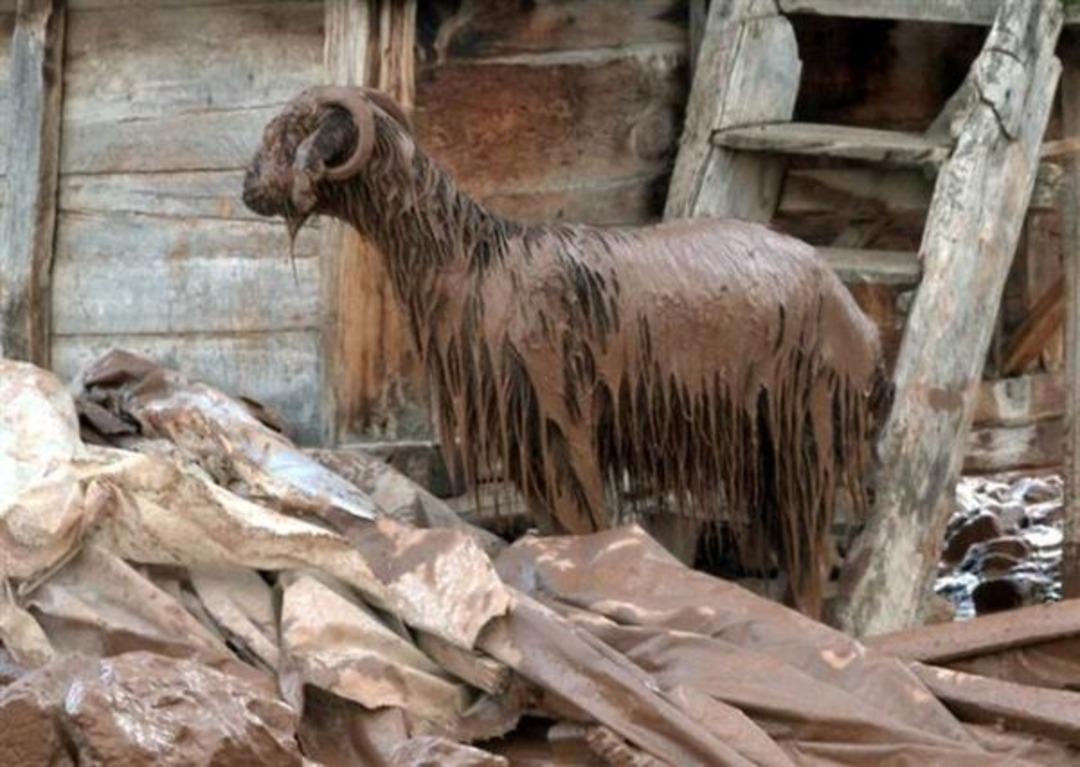 Dehşeti yaşadılar! Sel sonrası mahalle tanınmaz halde