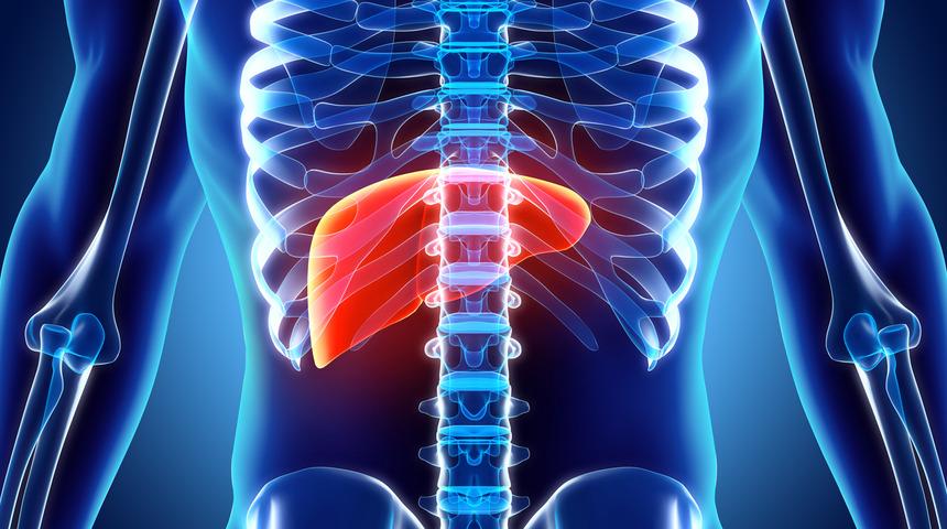 Karaciğer yağlanması belirtileri nelerdir, karaciğer neden yağlanır?