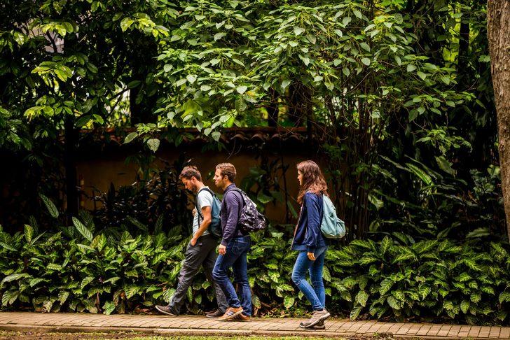 YÖK bu bölümlerde okuyacak gençlere burs verecek  G3