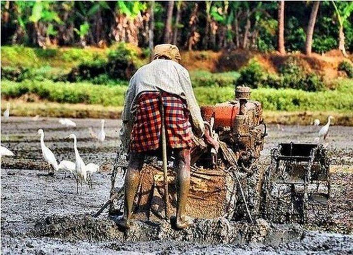 Brezilya'da bir garip an! Dünyayı şaşkına çevirdiler G3
