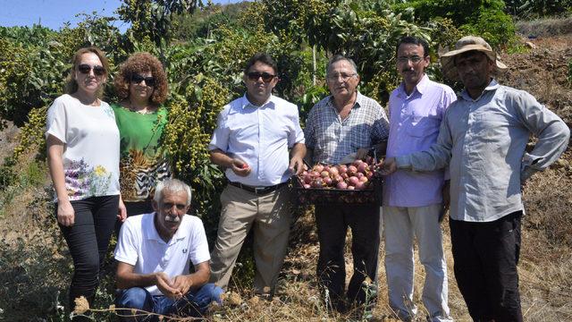 2 tropik meyveye Türkiye'de tescil