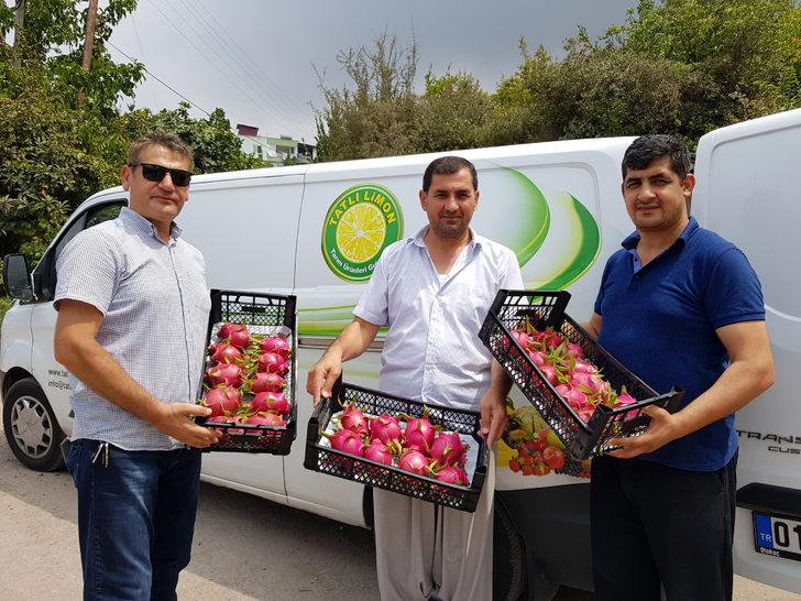 Sonunda Pembe Meyve de Yaptılar Sonunda Pembe Meyve de Yaptılar