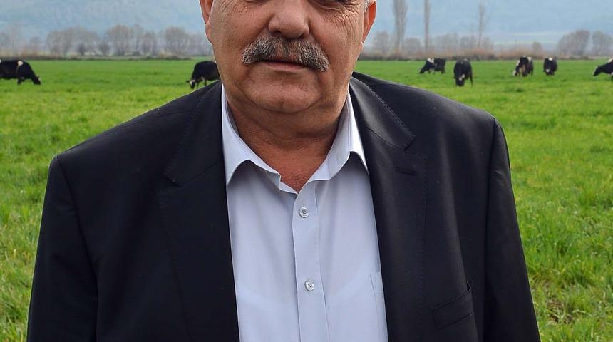 Süt üreticisi, yemde prim desteği istiyor