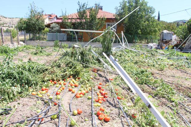 Kaçak sera iş makineleriyle yıkıldı