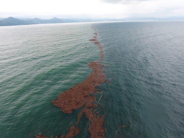 Karadeniz adeta ikiye bölündü  G1