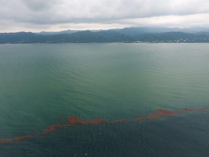 Karadeniz adeta ikiye bölündü  G4