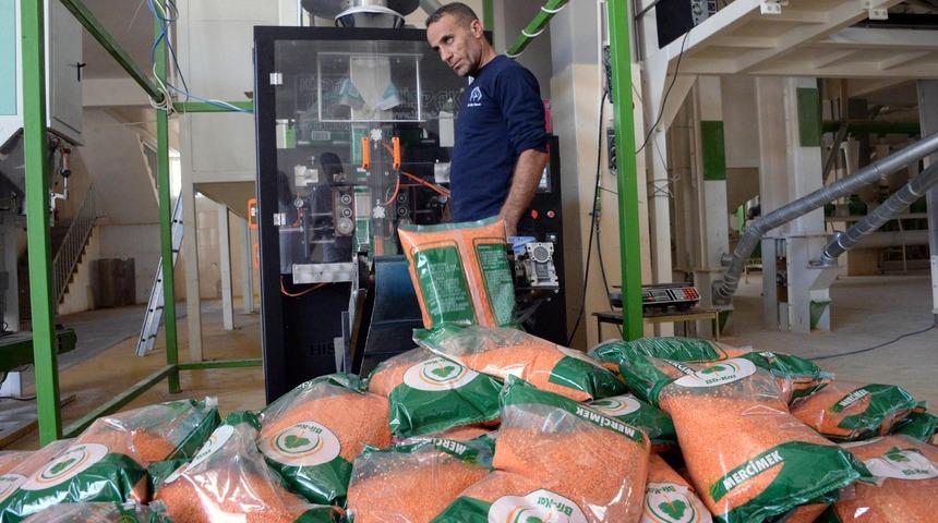 Diyarbakır, kırmızı mercimek ve ipek böcekçiliği üretiminde birinci