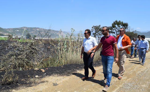 Gazipaşa'da sazlık yangını, yerleşim alanlarına ulaşmadan söndürüldü