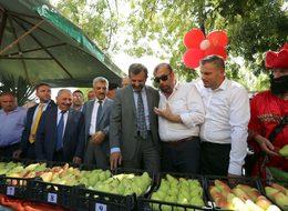 Türkiye’deki armut üretiminin yüzde 30’u Gürsu’da