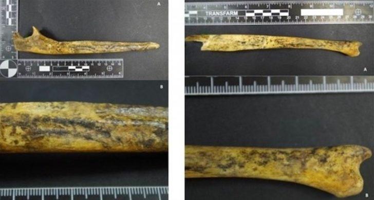 Açtıklarında gözlerine inanamadılar G2