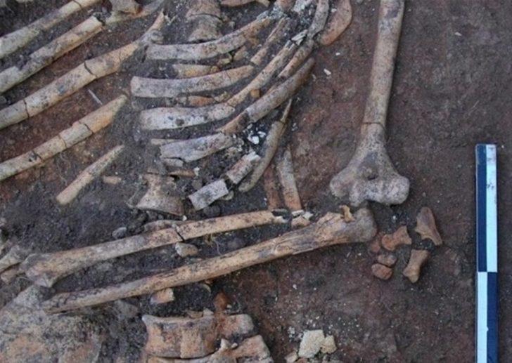 Açtıklarında gözlerine inanamadılar G3