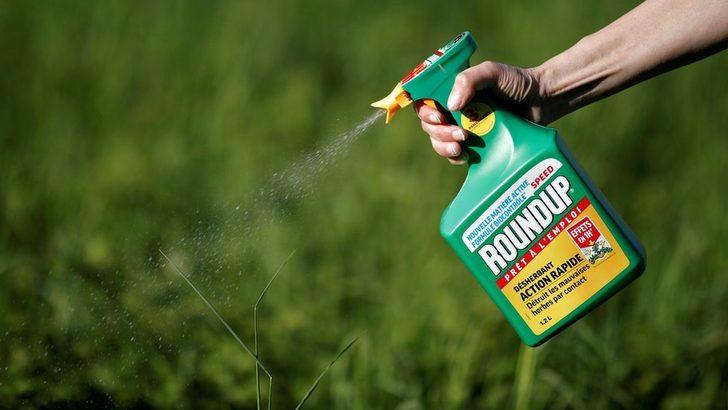 Monsanto'ya Türkiye'de de satılan tarım ilacı için Roundup için 289 milyon dolar tazminat cezası