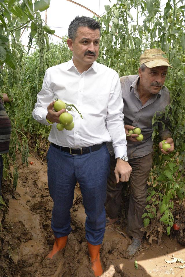 Bakan Pakdemirli, selin vurduğu Kumluca'da