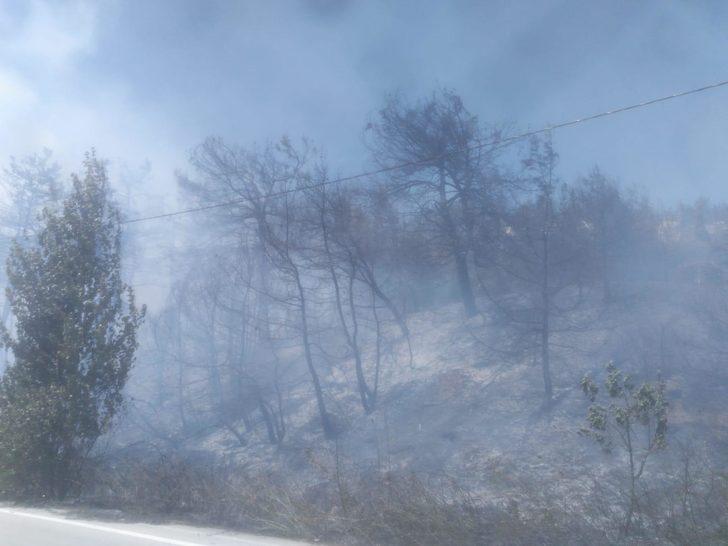 Bursa'da yerleşim yerleri tehdit altında G5