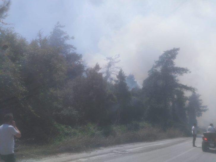 Bursa'da yerleşim yerleri tehdit altında G3