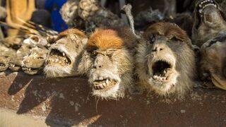 Dünyanın en korkunç pazarı 