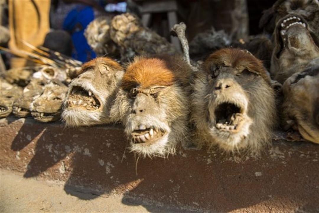 D&uuml;nyanın en korkun&ccedil; pazarı 