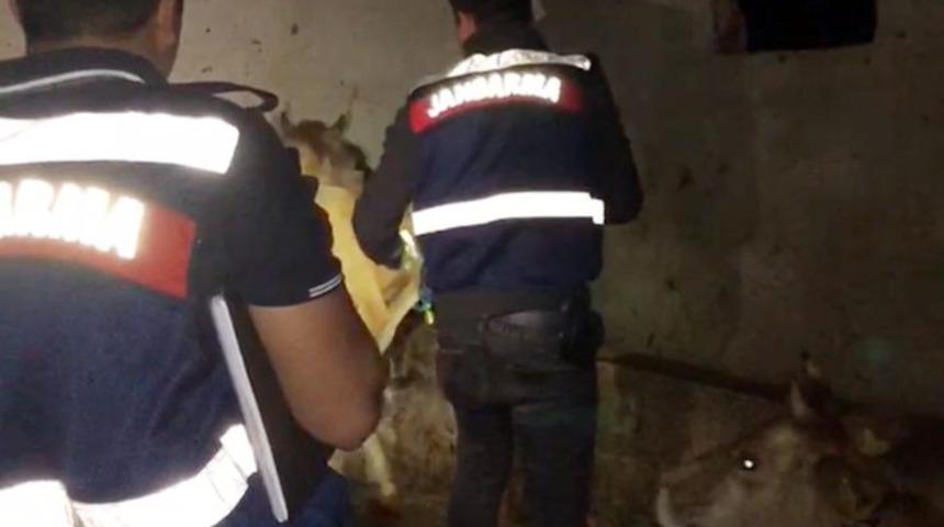 Ordu'yu ayağa kaldıran olay! Seri katil şüphesi