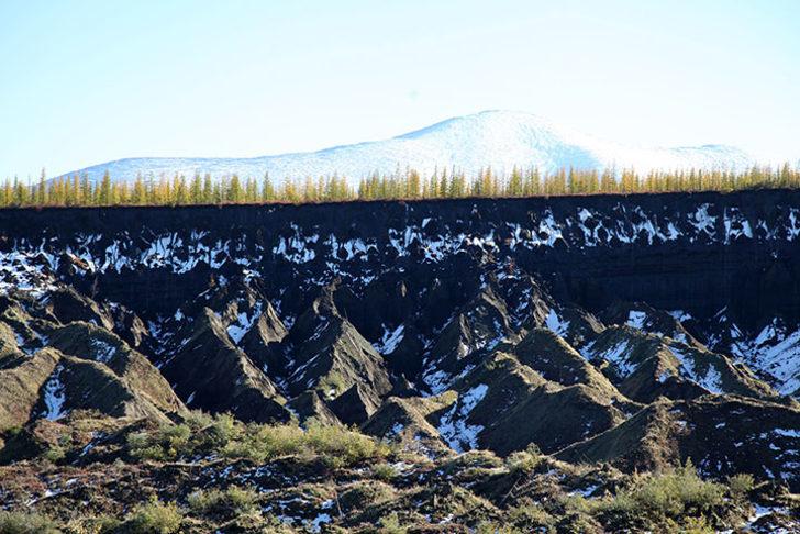 Yozgat'ta 8 milyon yıllık fosil! G5