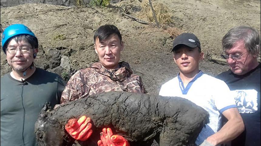 40 bin yıllık tay fosili bulundu 