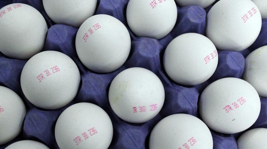 Yumurtaların üzerinde yazan kodlara dikkat! 