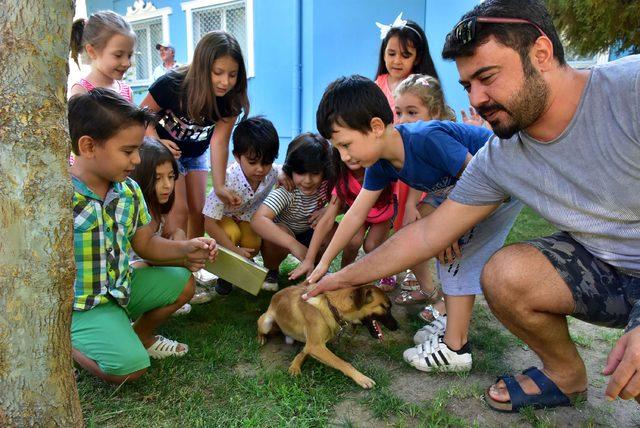 Bu ilçede sokak köpeklerini okullar sahipleniyor