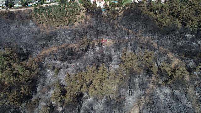 Mudanya'daki villaların çevresine çabuk tutuşmayan ağaçlar dikilecek