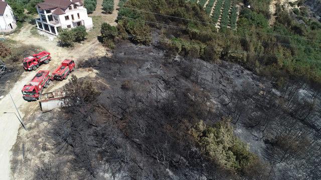 Mudanya'daki villaların çevresine çabuk tutuşmayan ağaçlar dikilecek