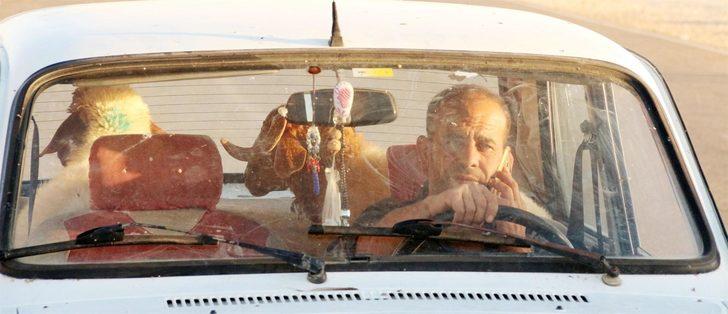 Şanlıurfa'da kurbanlıkları böyle taşıdılar G3