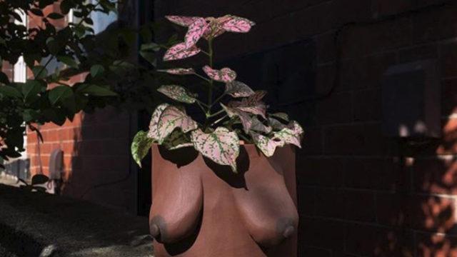 Kadın göğüsleri çiçek saksılarına dönüştü, siparişlere yetişemiyor