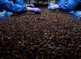  Çinli firma kuru üzümü ABD yerine Türkiye'den alacak