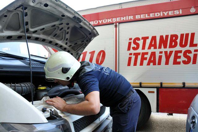 Atatürk Havalimanı’nda kedi kurtarma operasyonu