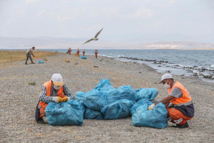 Van'da açlık ve sıcaktan yüzlerce martı öldü  G2